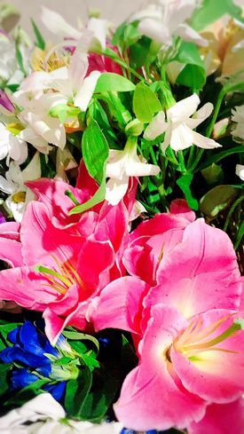 北斎場での葬儀・家族葬事例